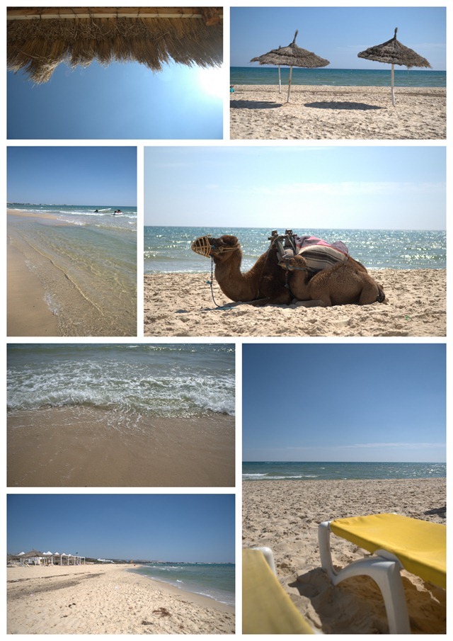 Beach . Hammamet Sud . Tunisia
