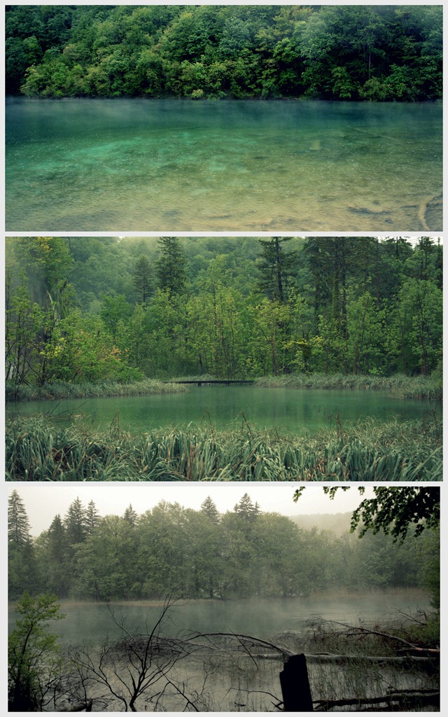 Foggy Lakes . Plitvice Lakes National Park . Craotia